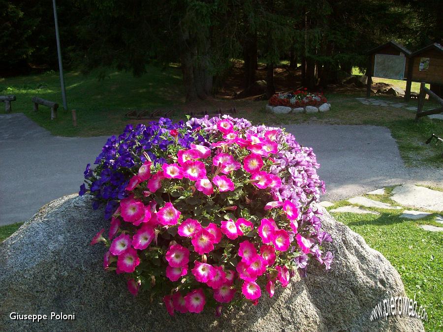 34- splendido bouquet .jpg